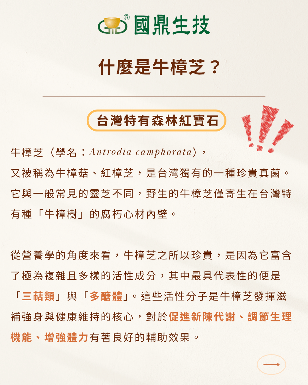 牛樟芝（學名：Antrodia camphorata），又被稱為牛樟菇、紅樟芝，是台灣獨有的一種珍貴真菌。它與一般常見的靈芝不同，野生的牛樟芝僅寄生在台灣特有種「牛樟樹」的腐朽心材內壁。