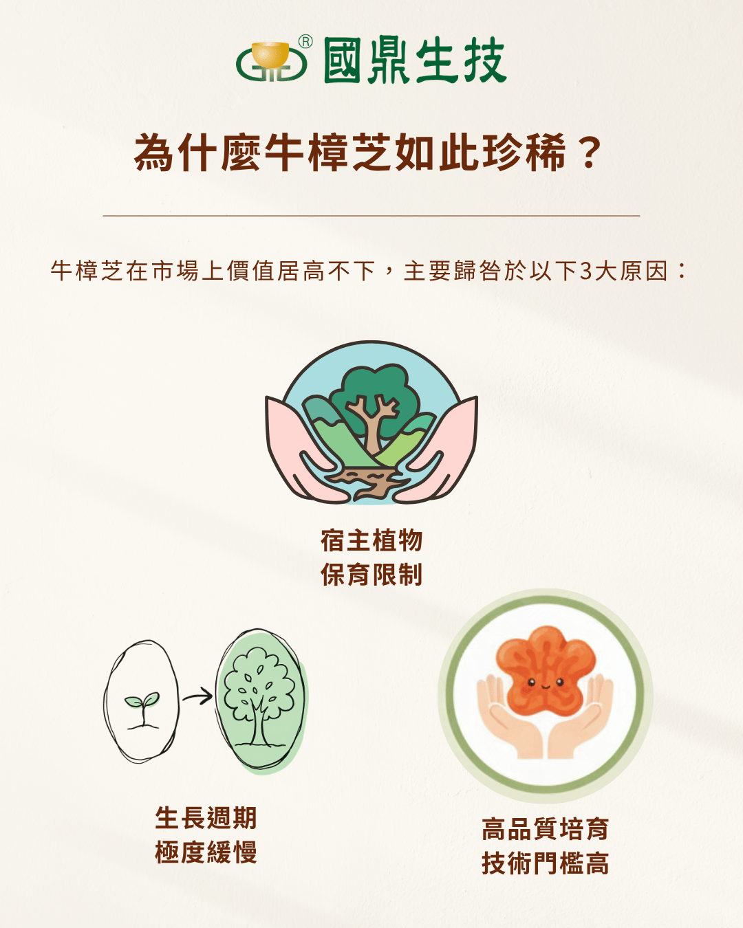 為什麼牛樟芝如此珍稀？