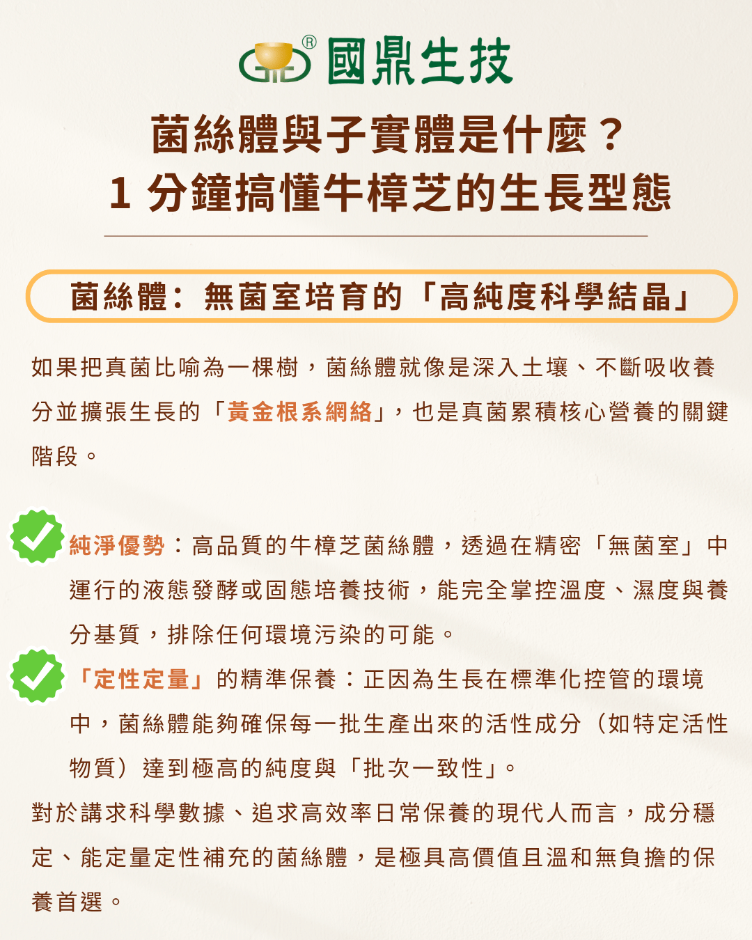 菌絲體與子實體是什麼？1 分鐘搞懂牛樟芝的生長型態