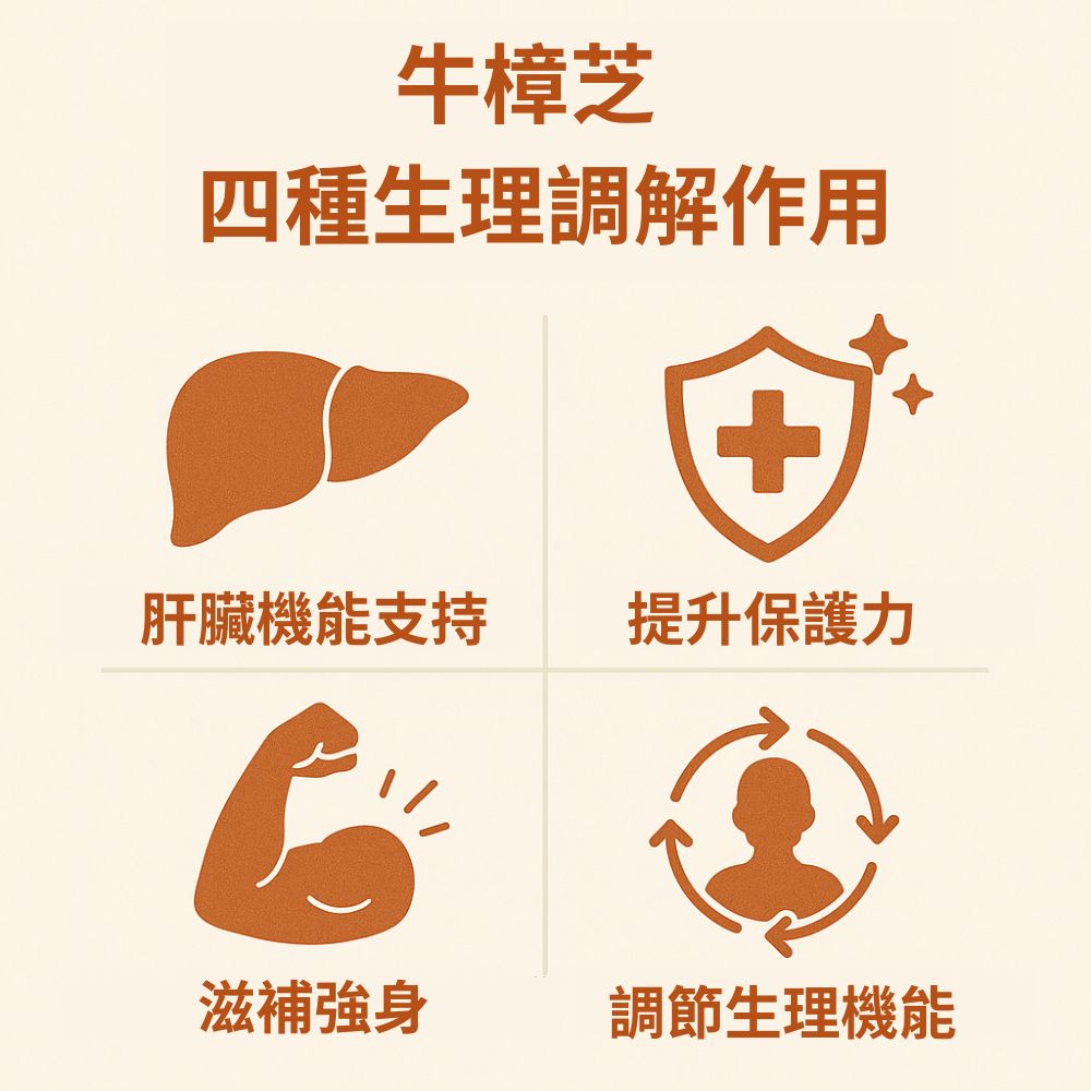 四種生理調節作用
