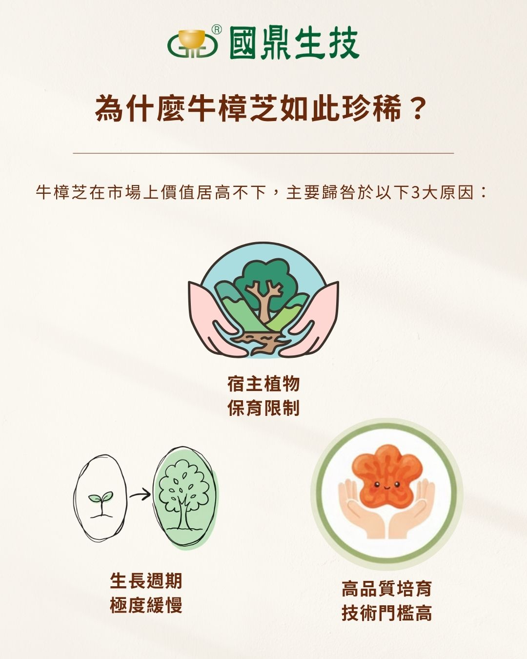 說明牛樟芝之所以珍稀的三大原因：宿主植物保育限制、生長週期極度緩慢，以及高品質培育技術門檻高。