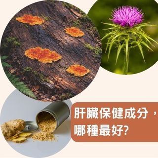 肝臟保健成分，選哪一種最好?