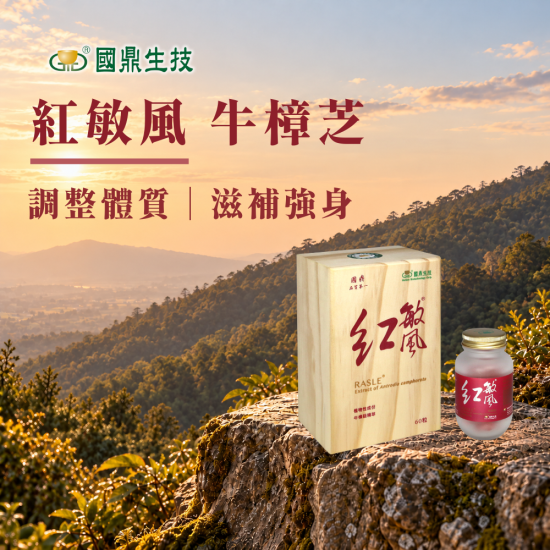 紅敏風牛樟芝｜調整體質｜滋補強身