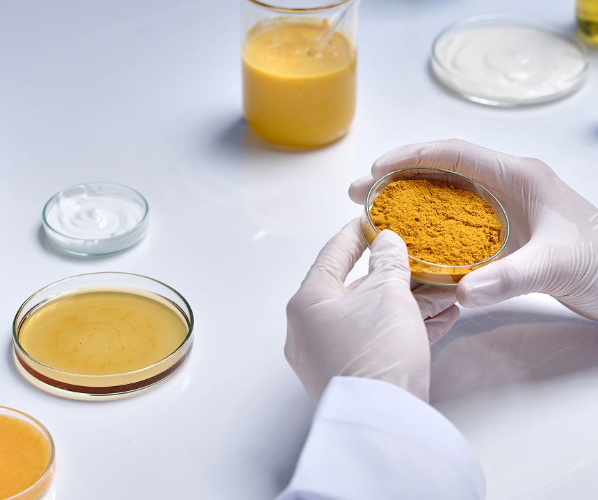 挑選牛樟芝保健食品